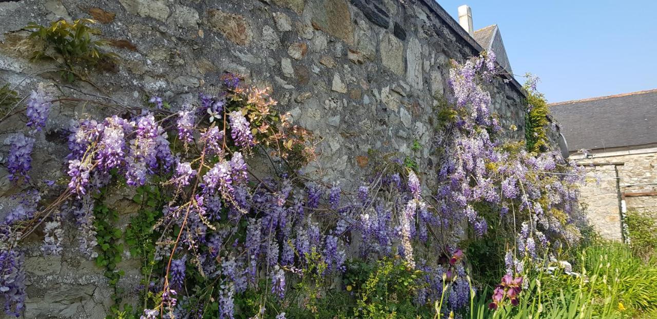 Maison Papillons Plomodiern Kültér fotó